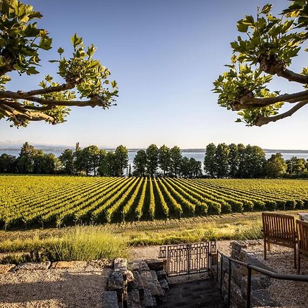 Schloss Kirchberg - Rose Immenstaad am Bodensee Esterno foto