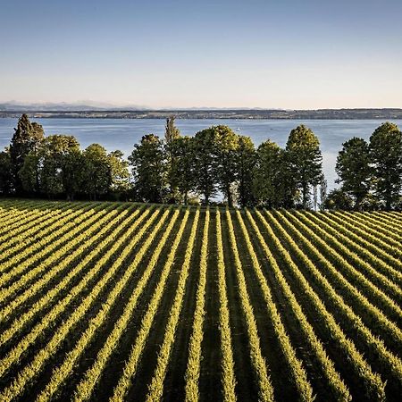 Schloss Kirchberg - Rose Immenstaad am Bodensee Esterno foto