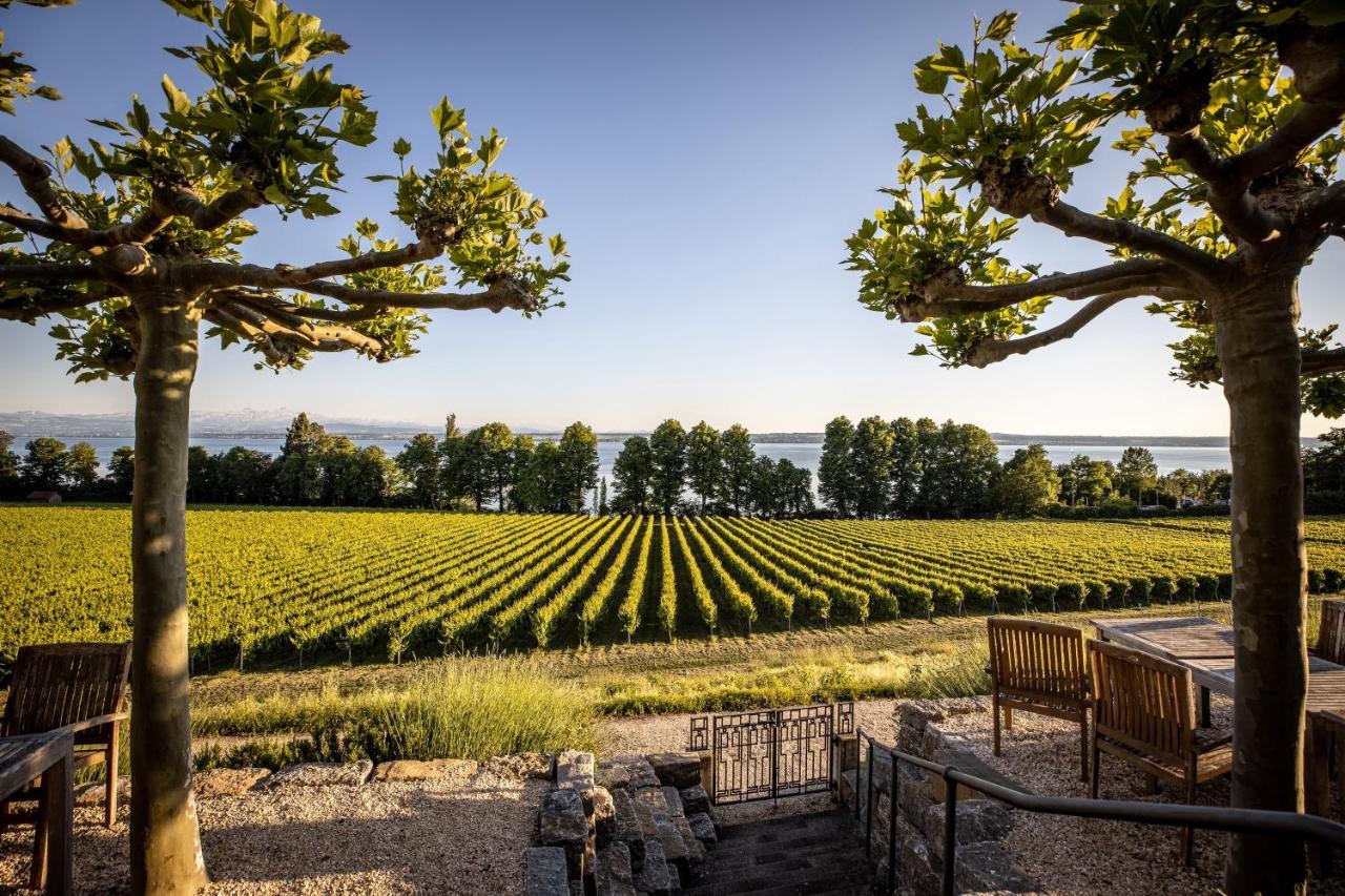 Schloss Kirchberg - Rose Immenstaad am Bodensee Esterno foto