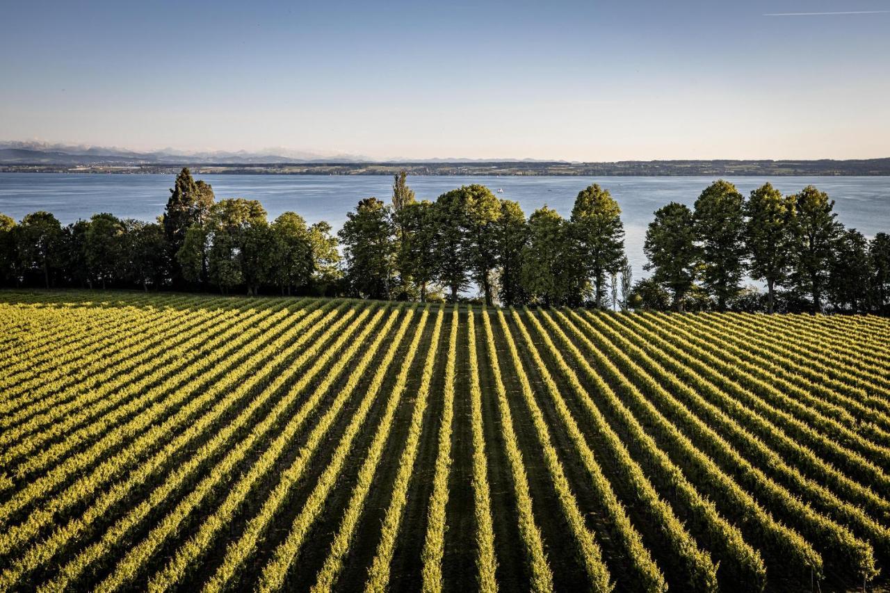Schloss Kirchberg - Rose Immenstaad am Bodensee Esterno foto