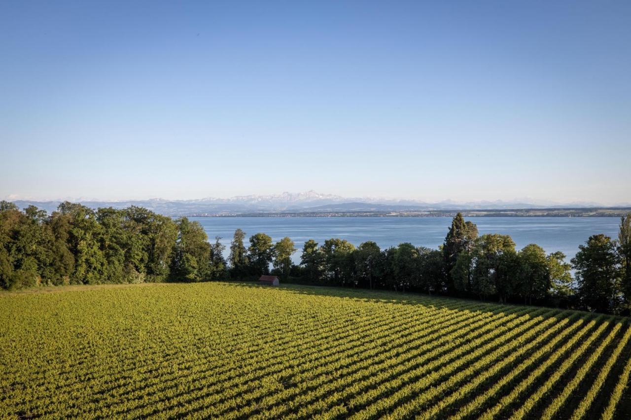 Schloss Kirchberg - Rose Immenstaad am Bodensee Esterno foto
